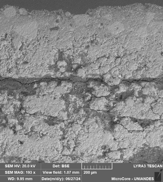 Sección D – Pintura de cal de color ocre claro