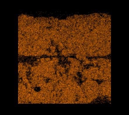 Sección D – Imagen MEB a 193x