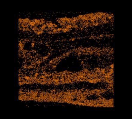 Sección B – Pintura sintética y de cal (capas 13-4 a 13-11)