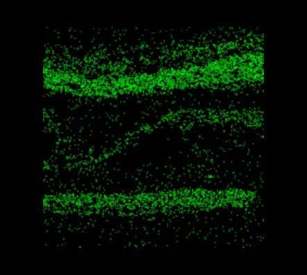 Sección D – Capas de cal coloreadas de rojo