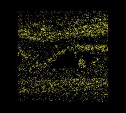 Sección D – Imagen MEB sección D